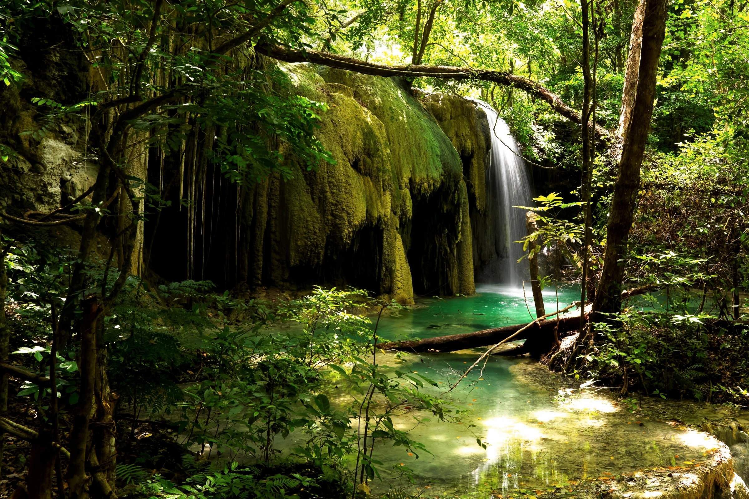 Moyo_Island[1].webp